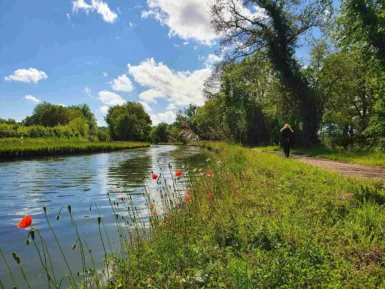 Promeneuse au bord du canal avec coquelicot Avril-sur-Loire