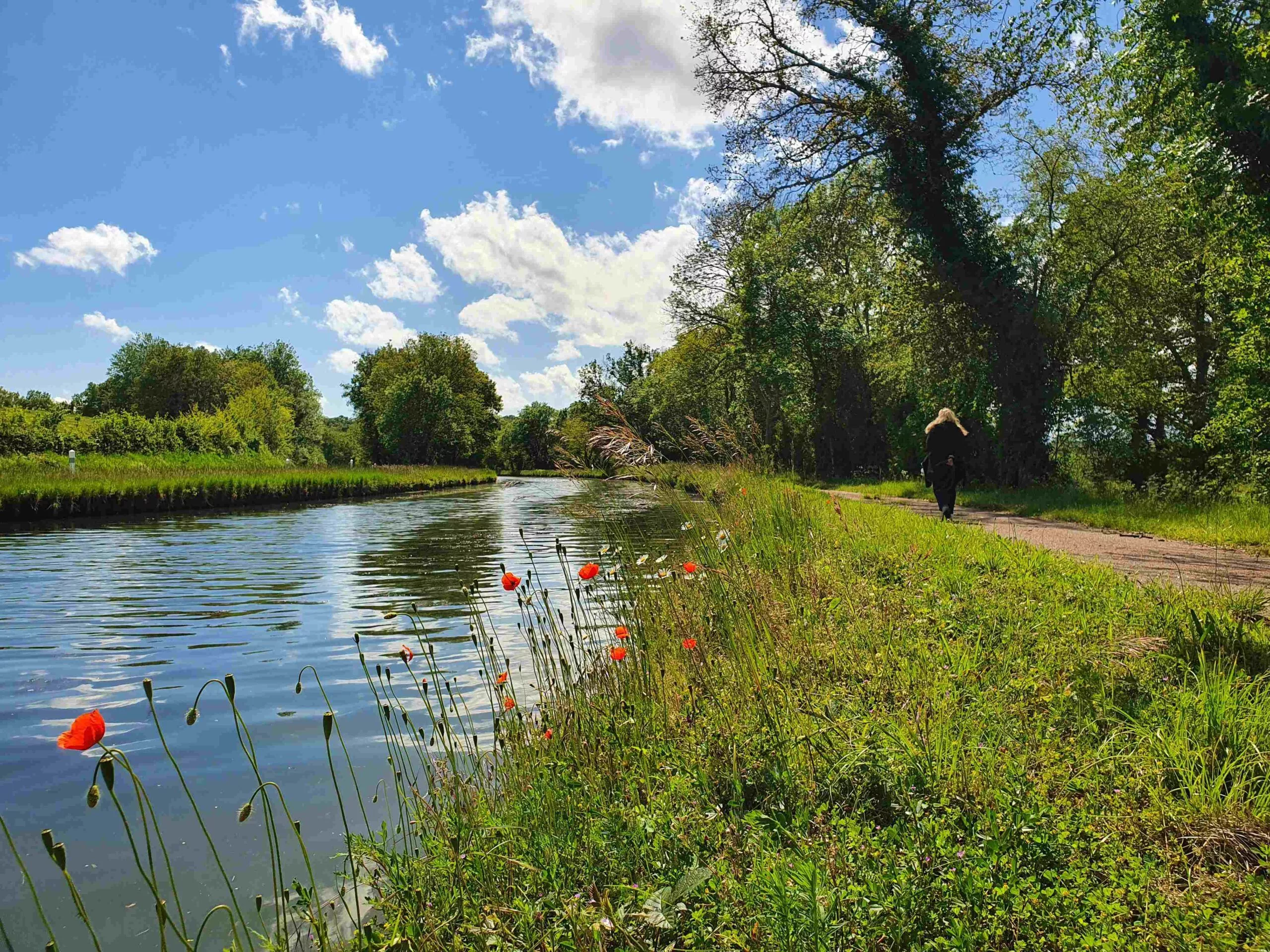 Promeneuse au bord du canal avec coquelicot Avril-sur-Loire
