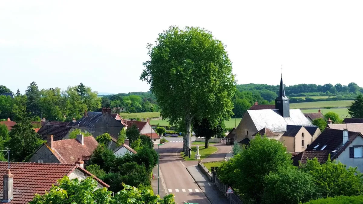Vue aérienne de Druy-Parigny avec vue sur un bout de l'église et un gros arbre au centre