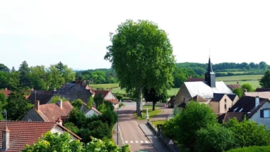 Vue aérienne de Druy-Parigny avec vue sur un bout de l'église et un gros arbre au centre