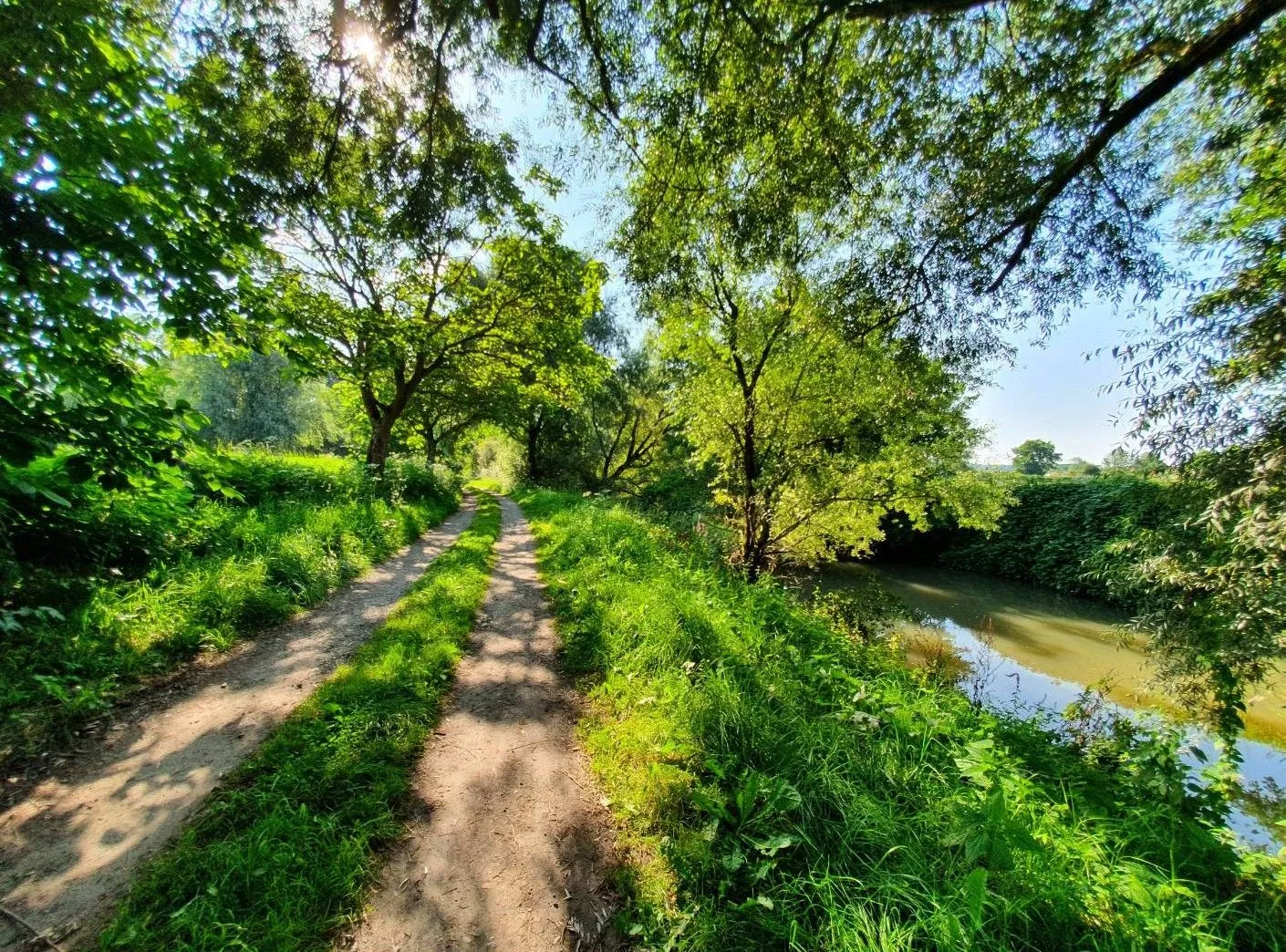 Chemin sous les arbres au bord de l'eau à Cossaye