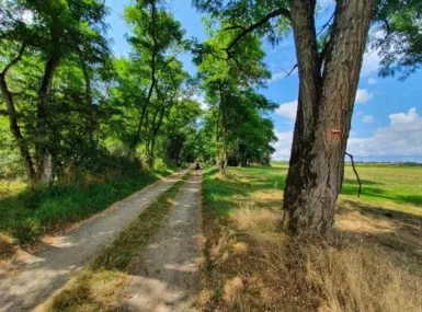 chemin de randonnée entre champ et bois a Devay