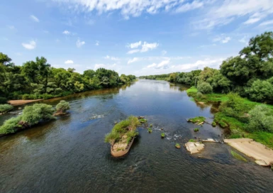 Loire naturelle à Imphy