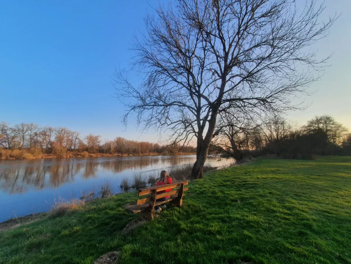 Bord de Loire au hameau de Tinte