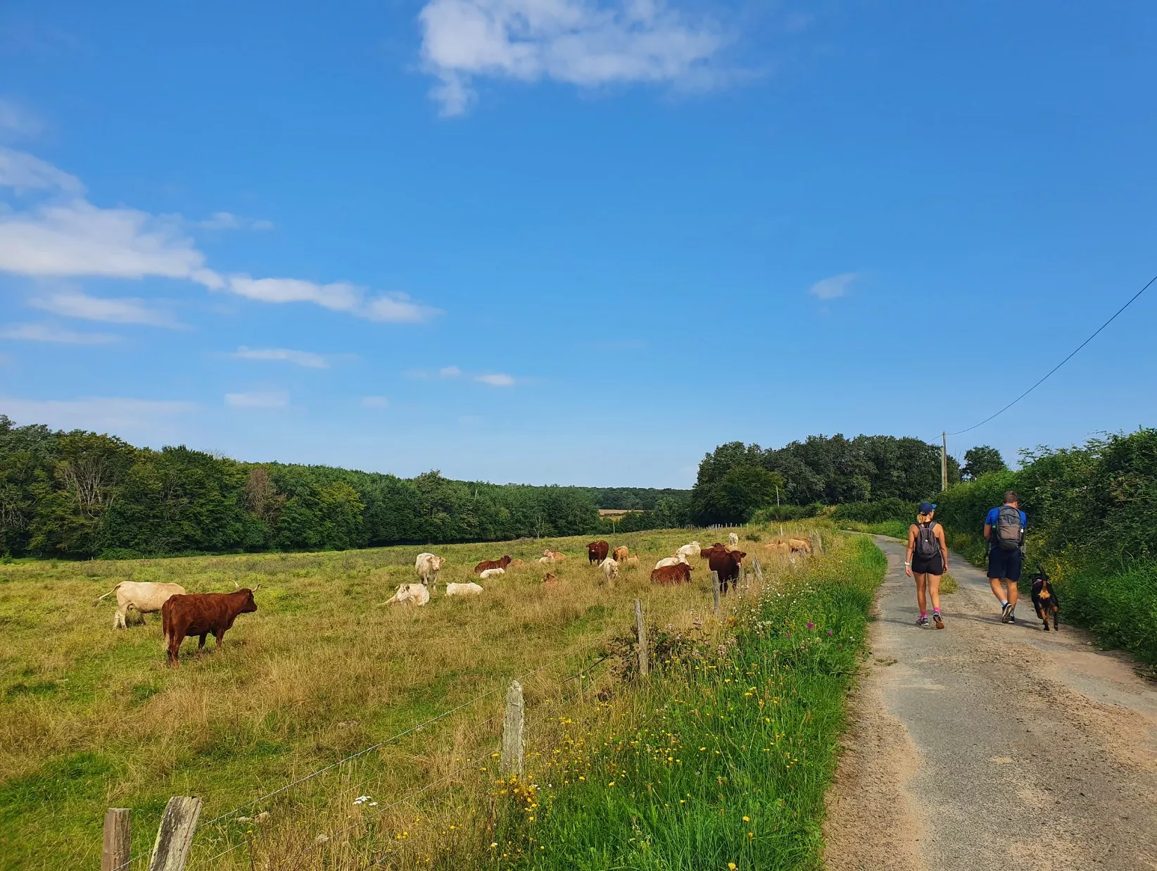 Randonneurs le long de la balade de Toury-Lurcy