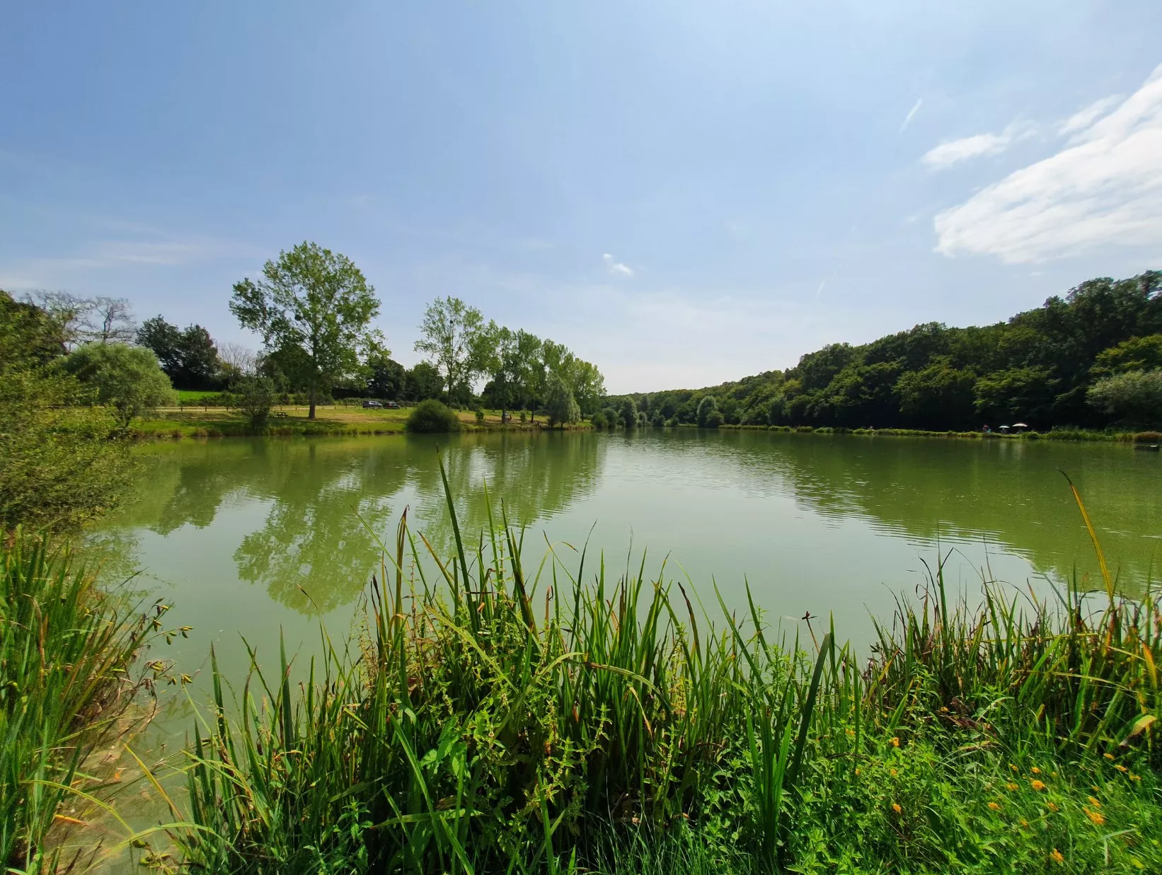 Vue sur l'Etang communal de Saint-Ouen-sur-Loire