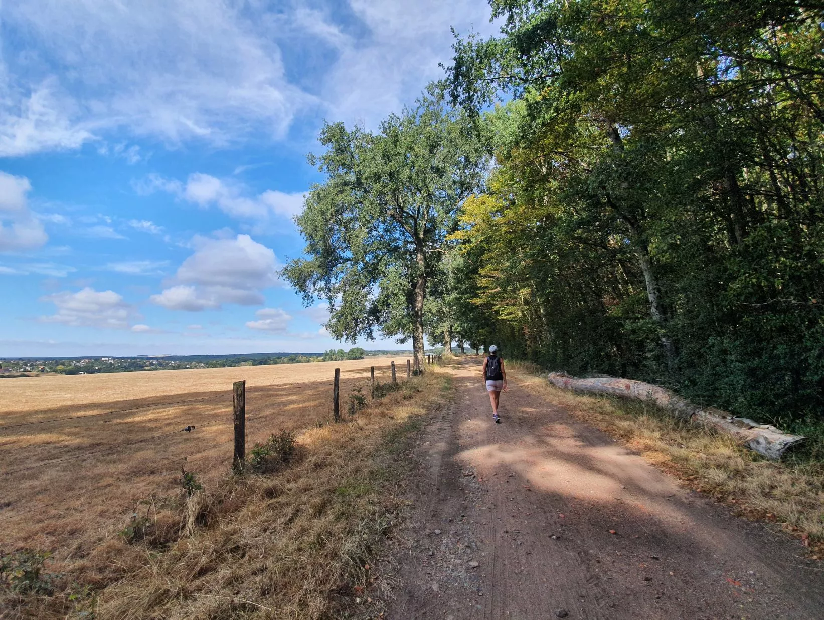 Vue depuis la forêt sur la randonnée de La Machine