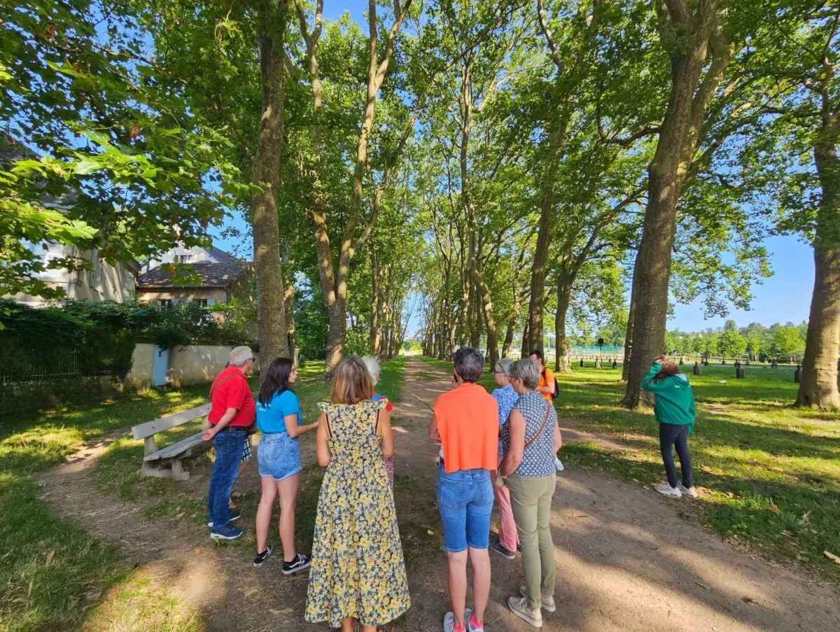 Les Halles visite guidée