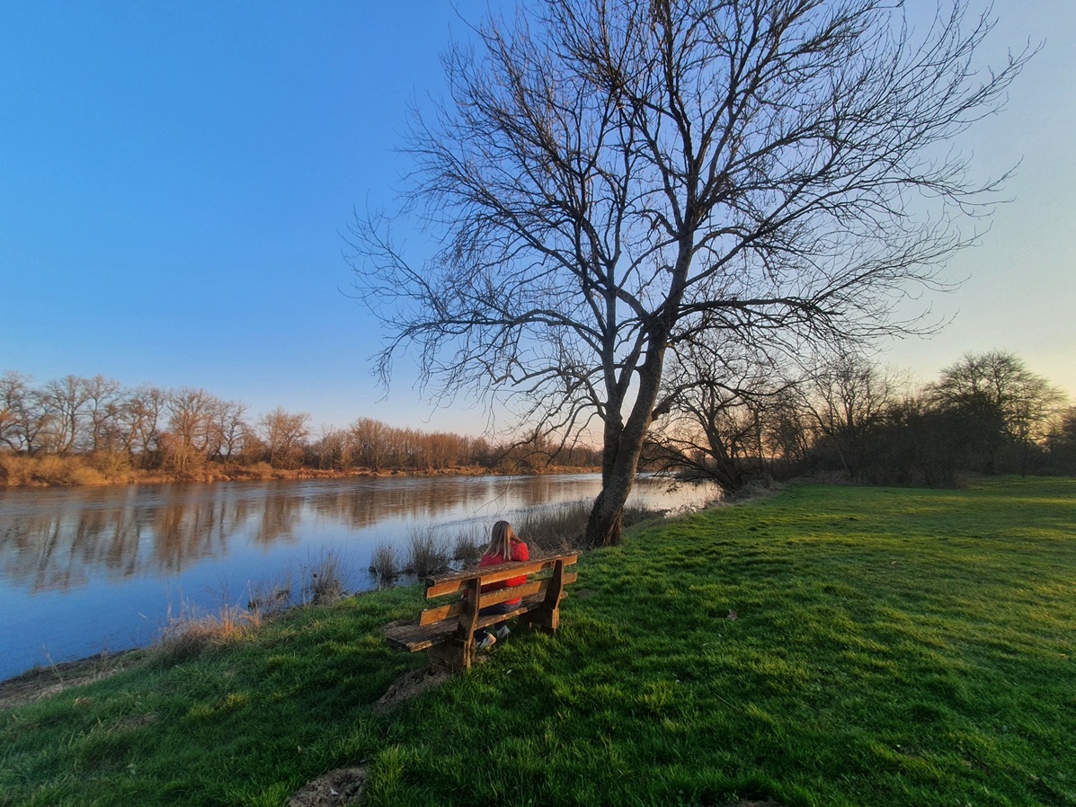 Tinte à Sougy sur Loire